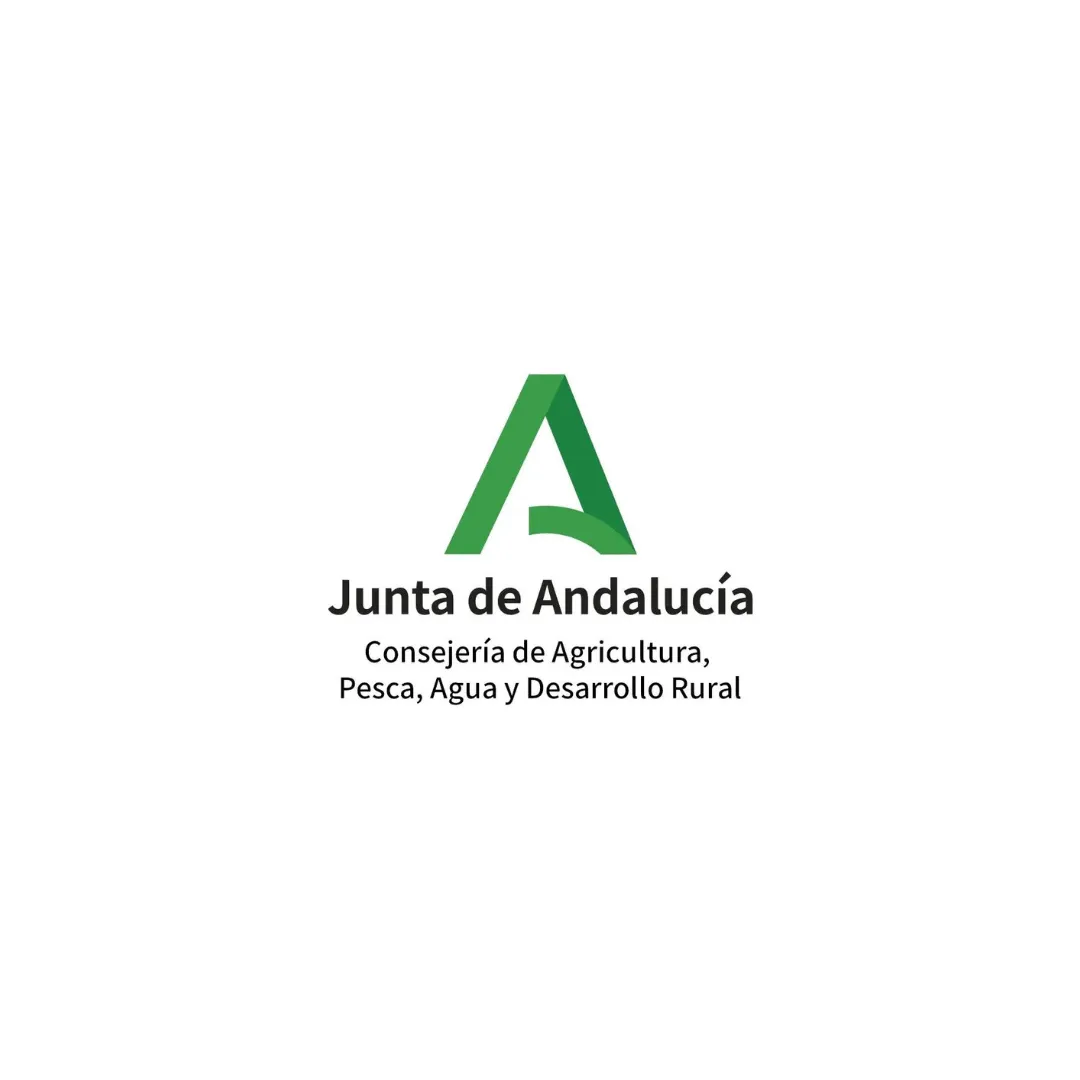 Logo 13